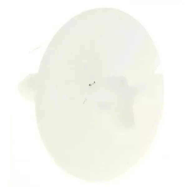 Distanční BSH00183856 náhradní díl pro sušičku prádla BSH se snadnou instalací a rychlou montáží